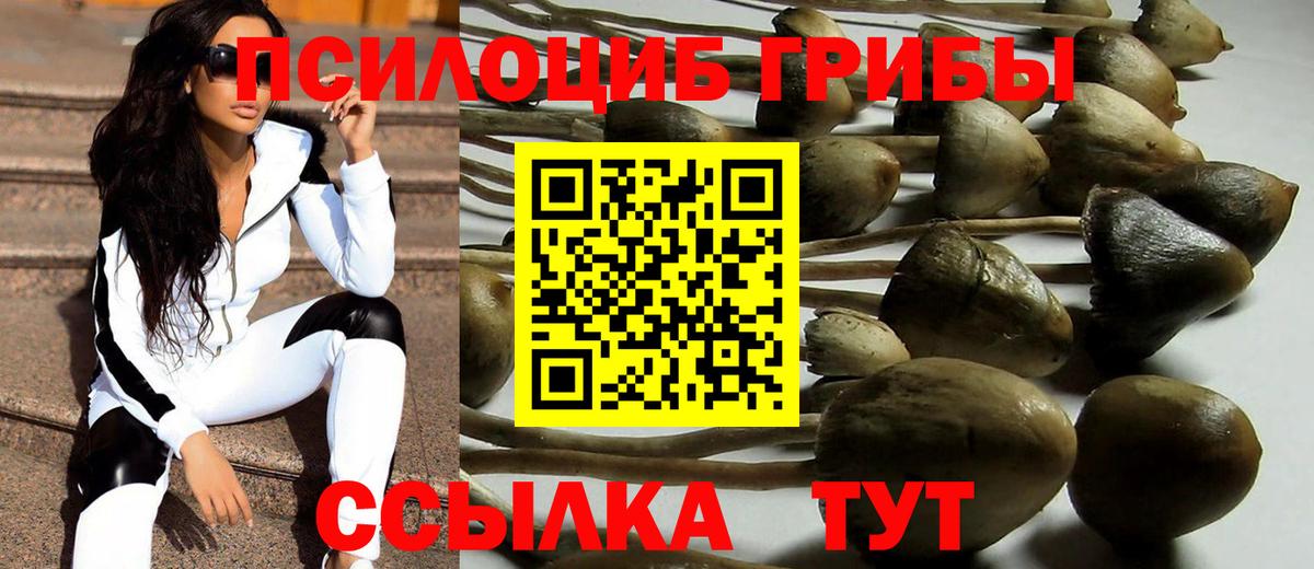 Галлюциногенные грибы GOLDEN TEACHER Великие Луки